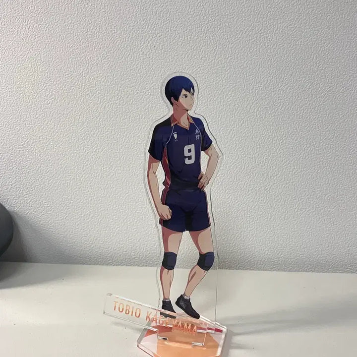 [BUNJANG] Haikyuu!! Kageyama Tobio Animate Acrylic Stand / 하이큐 애니메이트 카게야마 토비오 아크릴스탠드