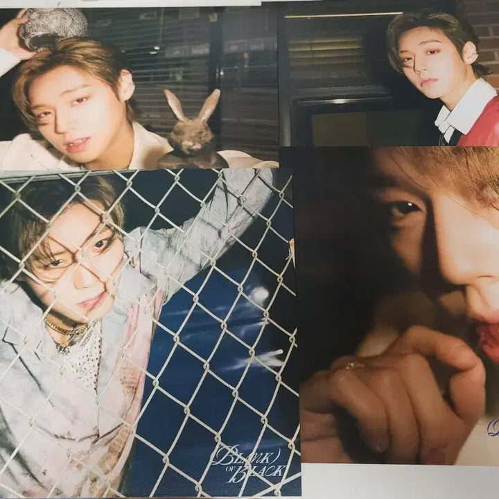 [BUNJANG] Park Ji Hoon BLANK or BLACK Album Poster / 박지훈 blank or black  앨범 포스터