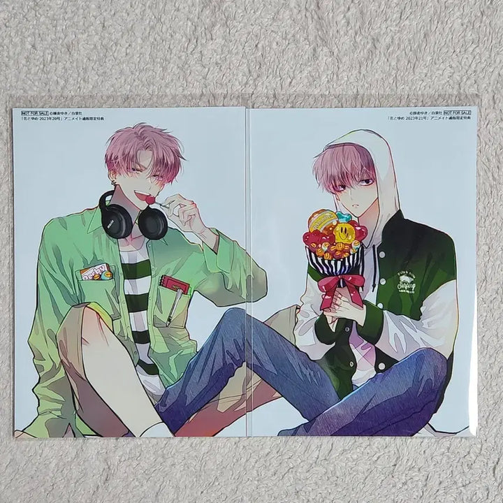 [BUNJANG] Tamon-kun! Animate Bromide / 타몬군지금어느쪽 애니메이트 브로마이드 특전