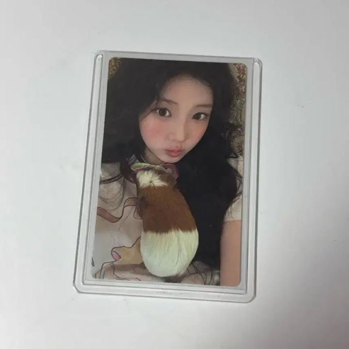 [BUNJANG] ILLIT Wonhee Photocard / *가격내림* 아일릿 원희 포카 판매