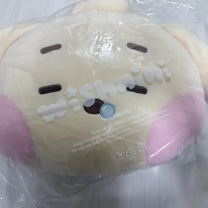 [BUNJANG] Wish Denti Cushion Sealed / 위시 댕트리니 쿠션 미개봉