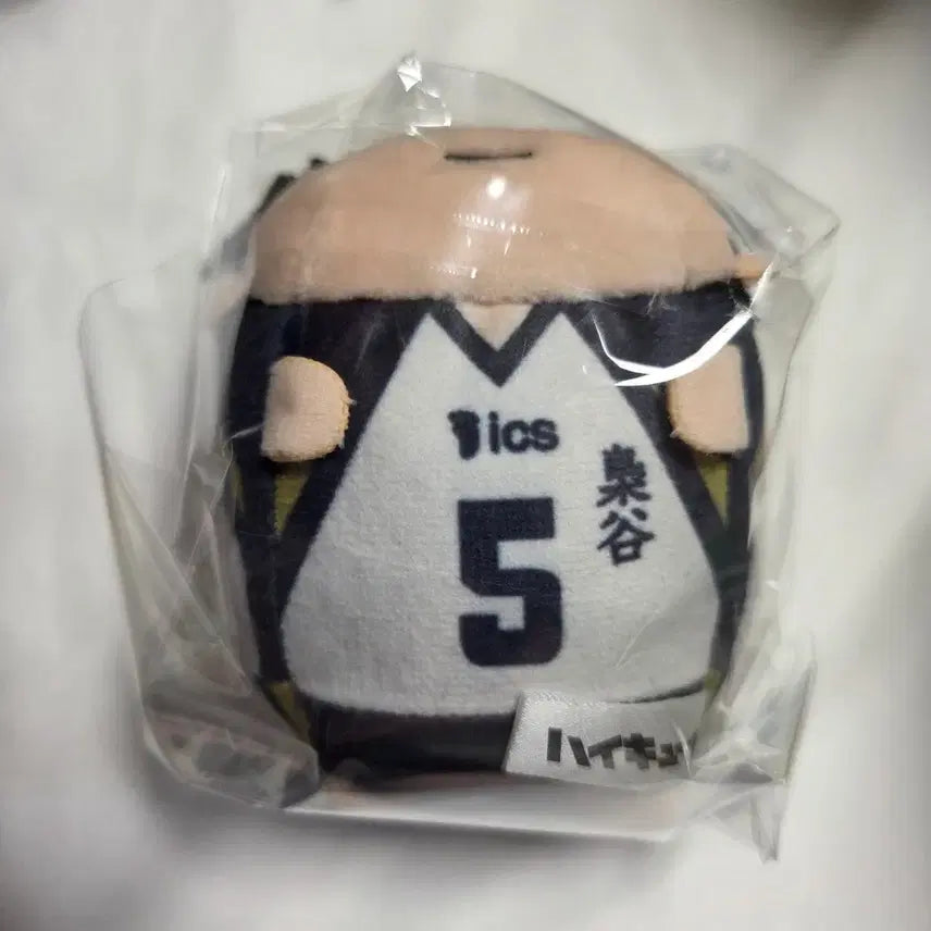 [SOLD OUT] 하이큐 아카아시 지로리 타와랏코 누이 인형