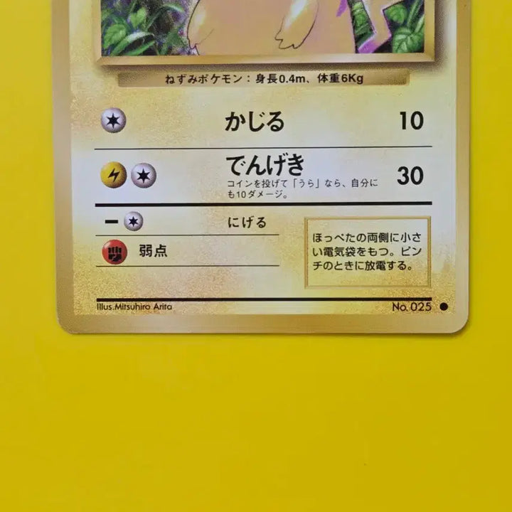 [BUNJANG] Pokemon Card Pikachu Japanese 1996 / 포켓몬카드 1996 큰 피카츄 일판 일본판8