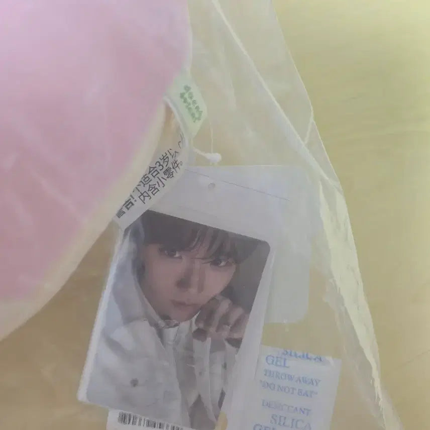 [BUNJANG] NCT WISH Jaehee DENTRINI Cushion (Sealed) / 미개봉/ 댕트리니 쿠션 위시니니 팝업 엔시티위시 재희