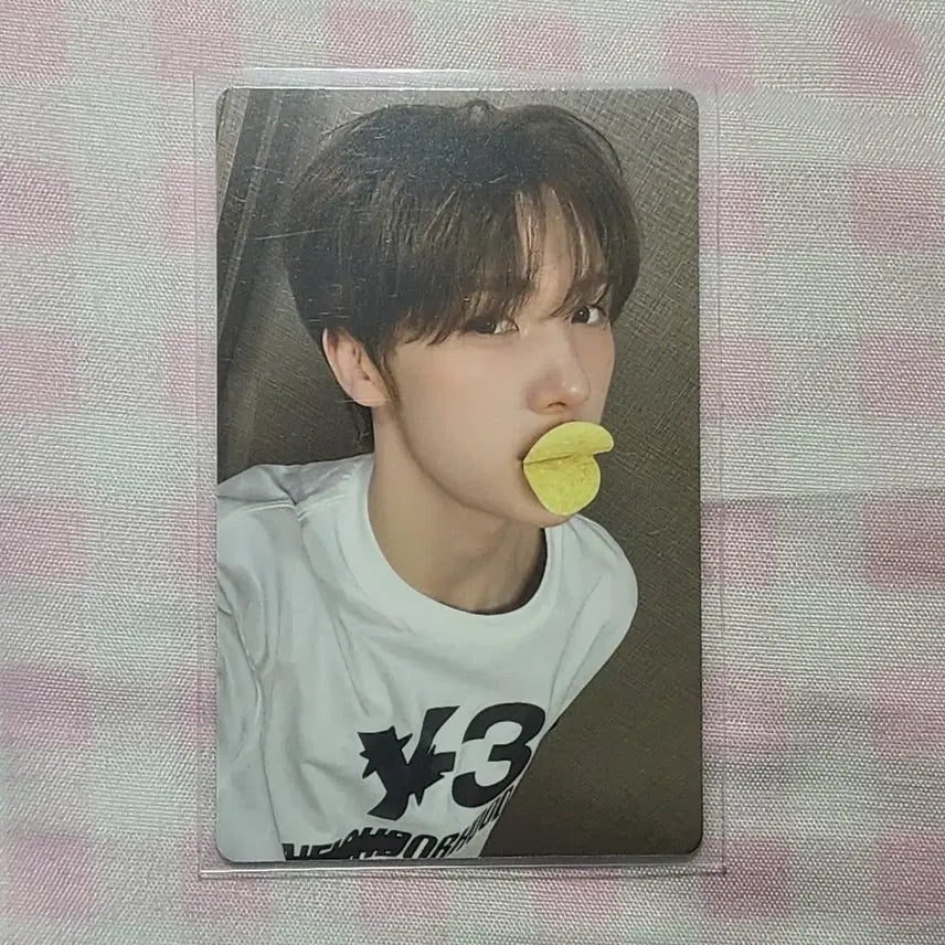 [SOLD OUT] 투어스 영재 NO TRAGEDY 컴백라 포카 양도