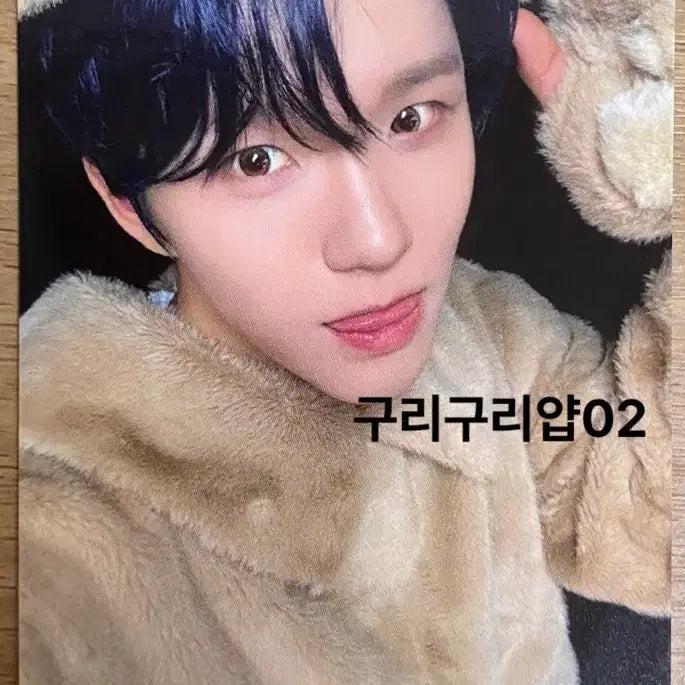 [BUNJANG] NCT WISH Melon Musicwave Animal Photocard / (판매) 엔시티 위시 멜론 뮤직웨이브 동물 포카 양도합니당