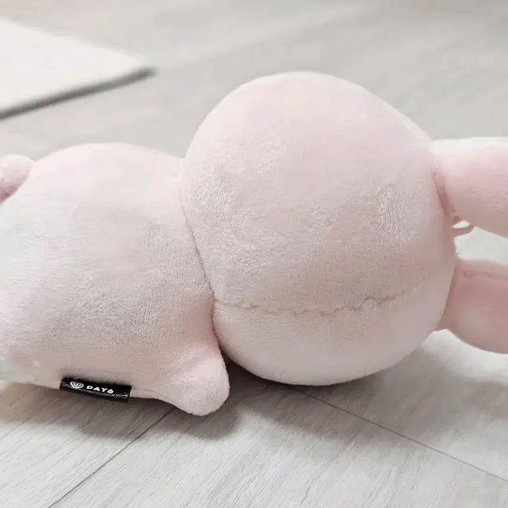 [BUNJANG] DAY6 Wonpil Pilkki Lying Doll / 데이식스 원필 필끼 눕필 손난로