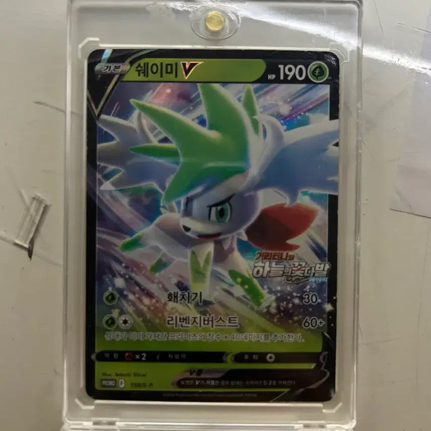 [BUNJANG] Pokemon Card Bundle / 포켓몬카드 통괄