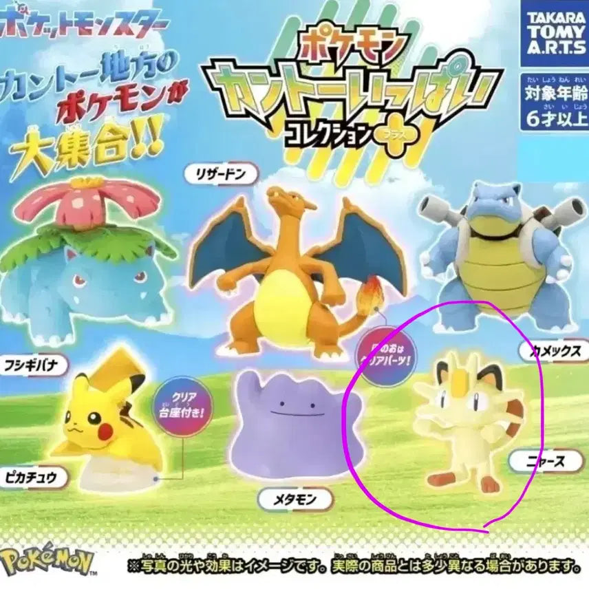 [BUNJANG] Pokemon Kanto Meowth Gachapon Figure / 포켓몬스터 관동지방 냐옹 나옹 가챠 피규어