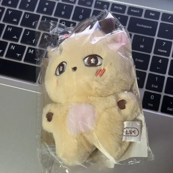 [BUNJANG] Park Ji Hoon So Sim Ee Doll Sealed / 박지훈 소심이  인형 미개봉