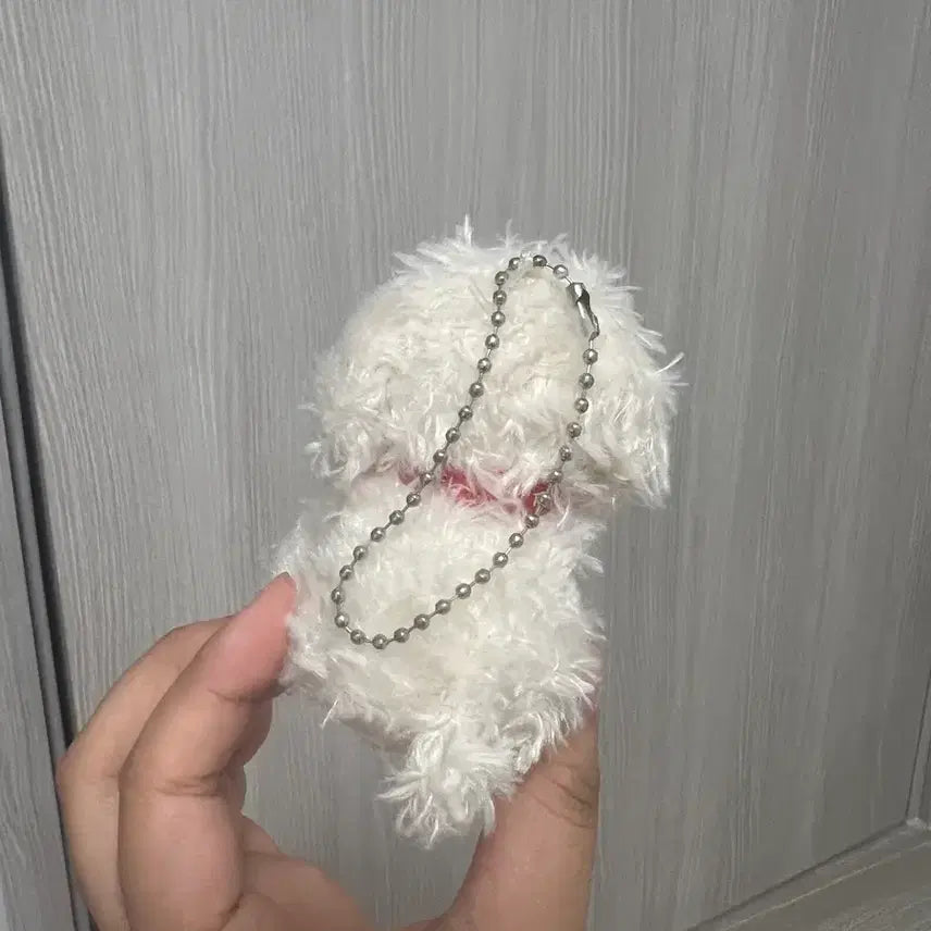 [BUNJANG] Japanese Dog Plush / 일본 강아지 인형