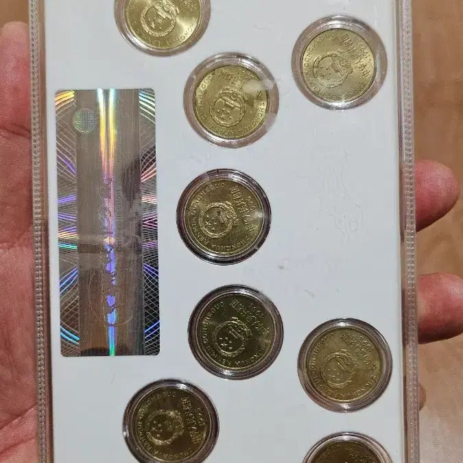 [BUNJANG] China Plum Blossom 5 Jiao Circulated Coin Set (1991-2001) / 중국 매화 5각 유통경화 11종 동전세트 (1991-2001)