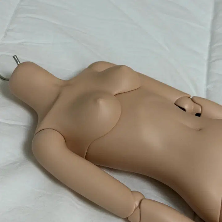 [BUNJANG] LinaShoSho Ten Skin Female Body BJD Doll / 리나슈슈 텐스킨 여아바디 구체관절인형
