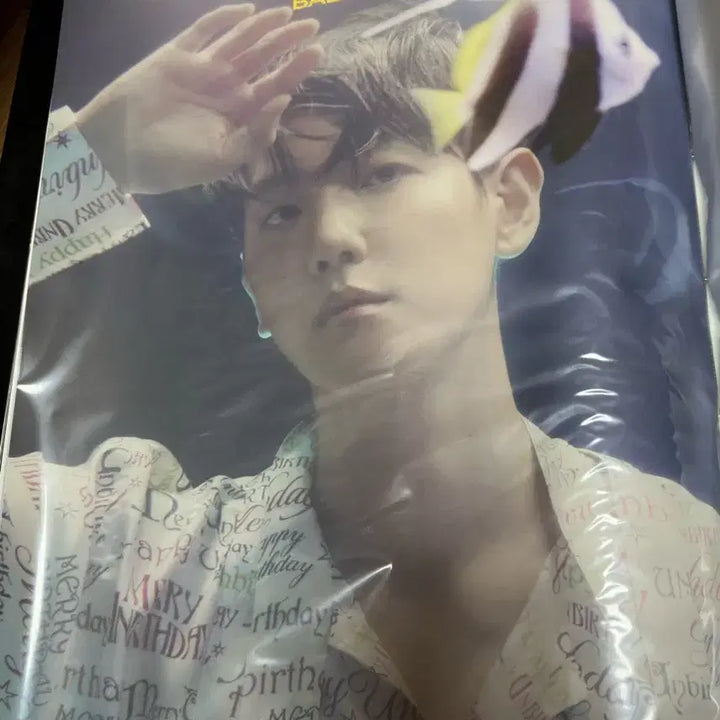 [BUNJANG] Baekhyun Delight &amp; Bambi Poster Set / 백현 Delight, bambi 포스터