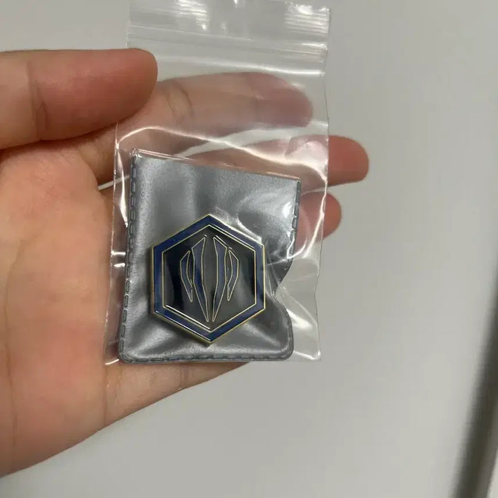 [BUNJANG] Lee Rae Revolution Lee Rae Team Member Badge (Unused) / 미사용 원가이하) 리레볼루션 리레 은기대 부대뱃지 양도합니다! 레하