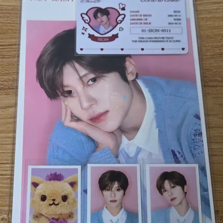 [BUNJANG] NCT WISH Sicheng Steady Photocard Set / 엔시티위시 스테디 포토세트 시온