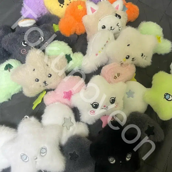 [BUNJANG] Wishdoll Wichu Bubble Cat, Pangyi / 위시돌 위츄 (버블냥, 팡이)