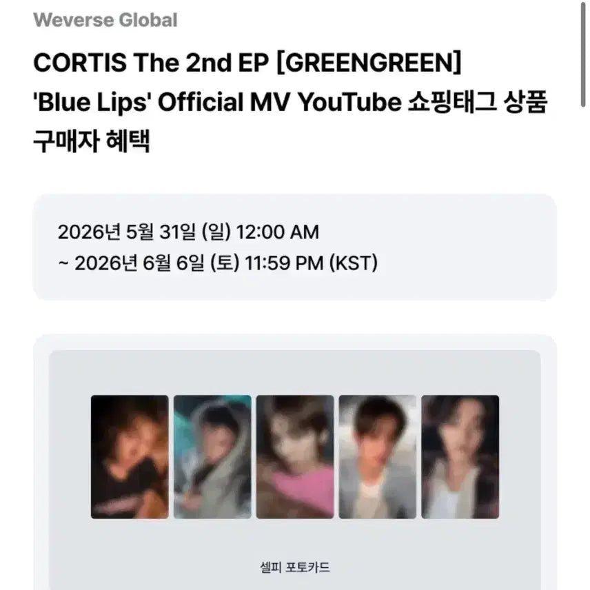 [BUNJANG] KORTIZ YouTube Gift Photocard Split Set / 코르티스 블루립 유튜브 기프트 분철