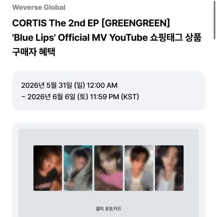 [BUNJANG] KORTIZ YouTube Gift Photocard Split Set / 코르티스 블루립 유튜브 기프트 분철