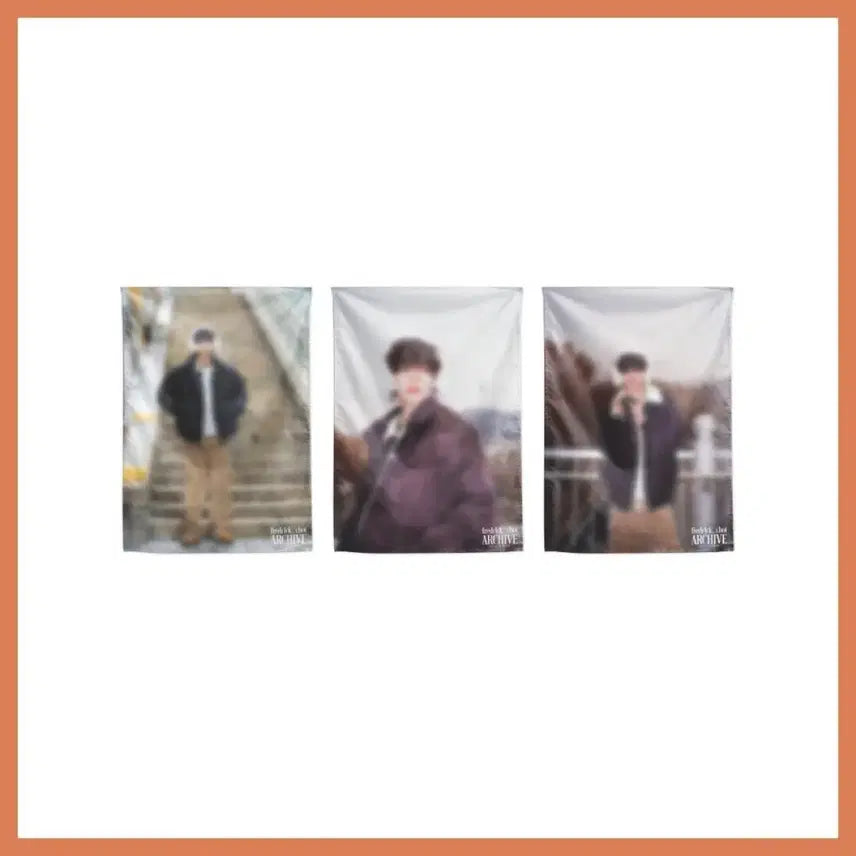 [BUNJANG] Fredrick Choi Archive Fabric Chiffon Poster (A, B, C Versions) / 최립우 fredr1ck choi ARCHIVE 패브릭 쉬폰 포스터