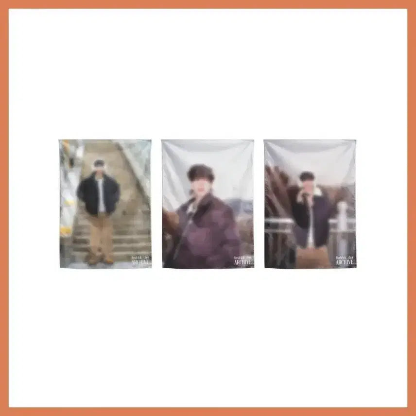 [BUNJANG] Fredrick Choi Archive Fabric Chiffon Poster (A, B, C Versions) / 최립우 fredr1ck choi ARCHIVE 패브릭 쉬폰 포스터