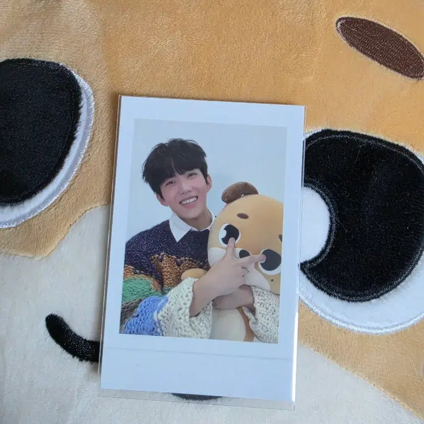 [BUNJANG] Giant Denimals Don Photocard Included / 자이언트 데니멀즈 돈 (포카 있음)