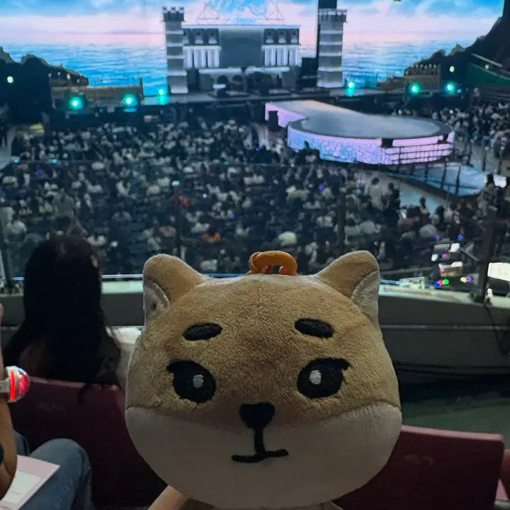 [BUNJANG] Day6 Denimals 24 Ver. Doll / 구버전 데이식스 데니멀즈 24 케