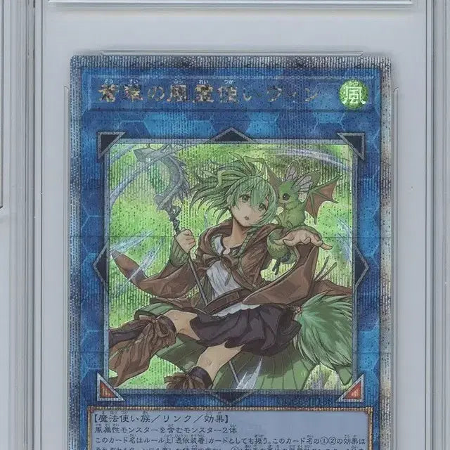 [BUNJANG] Yu-Gi-Oh! Card Winds of the Heavenly Winds, Wind (BRG 9 Grade) / 유희왕카드 창취의 풍령사 윈 일판 [BRG 9]