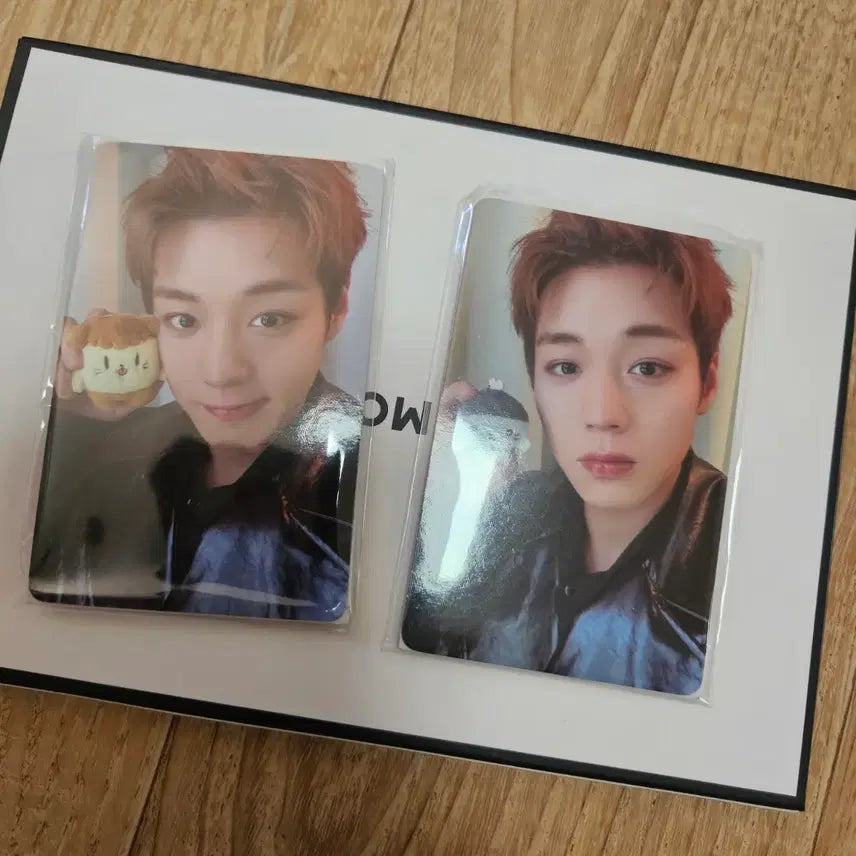 [BUNJANG] Park Jihoon Ppoomi &amp; Moongyi Photocard Set / 새제품 박지훈 뿌움이 1장,모옹이 1장 포카 소심이팝업
