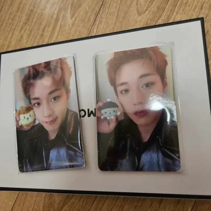 [BUNJANG] Park Jihoon Ppoomi &amp; Moongyi Photocard Set / 새제품 박지훈 뿌움이 1장,모옹이 1장 포카 소심이팝업