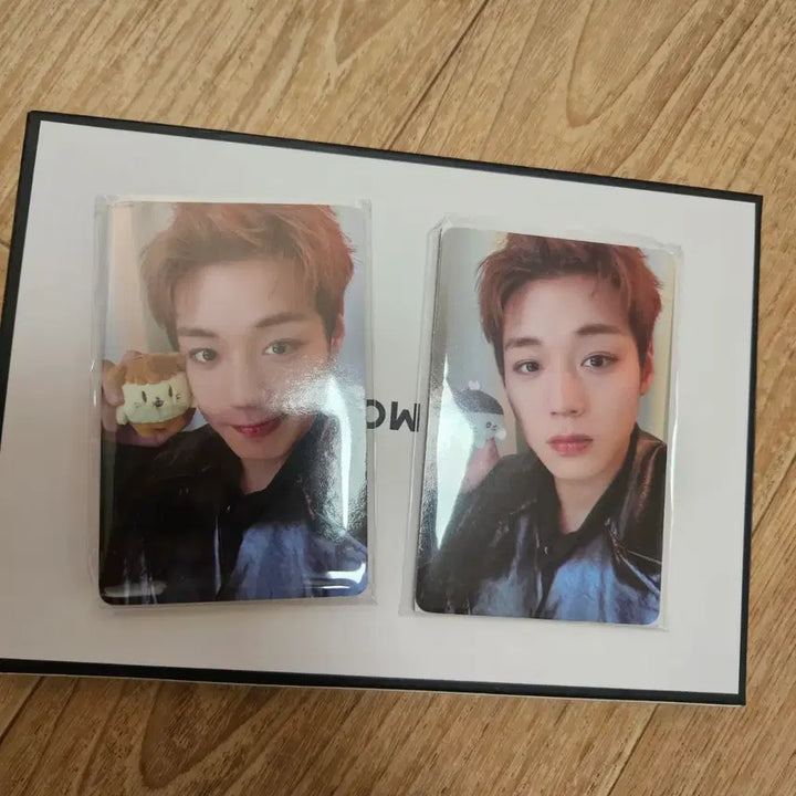 [BUNJANG] Park Jihoon Ppoomi &amp; Moongyi Photocard Set / 새제품 박지훈 뿌움이 1장,모옹이 1장 포카 소심이팝업