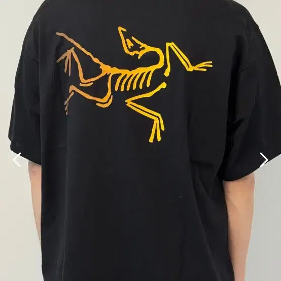 [SOLD OUT] 아크테릭스 반팔티 블랙 S,M