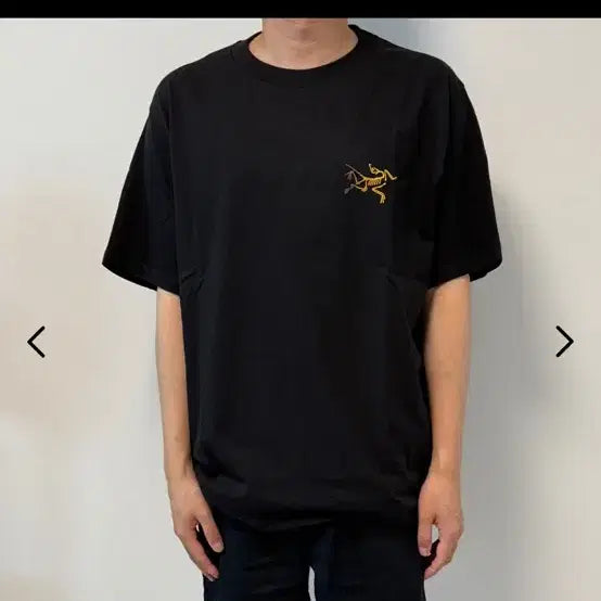 [SOLD OUT] 아크테릭스 반팔티 블랙 S,M