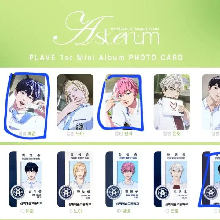 [BUNJANG] PLAVE Photocard Trade / 플레이브 포카 교환