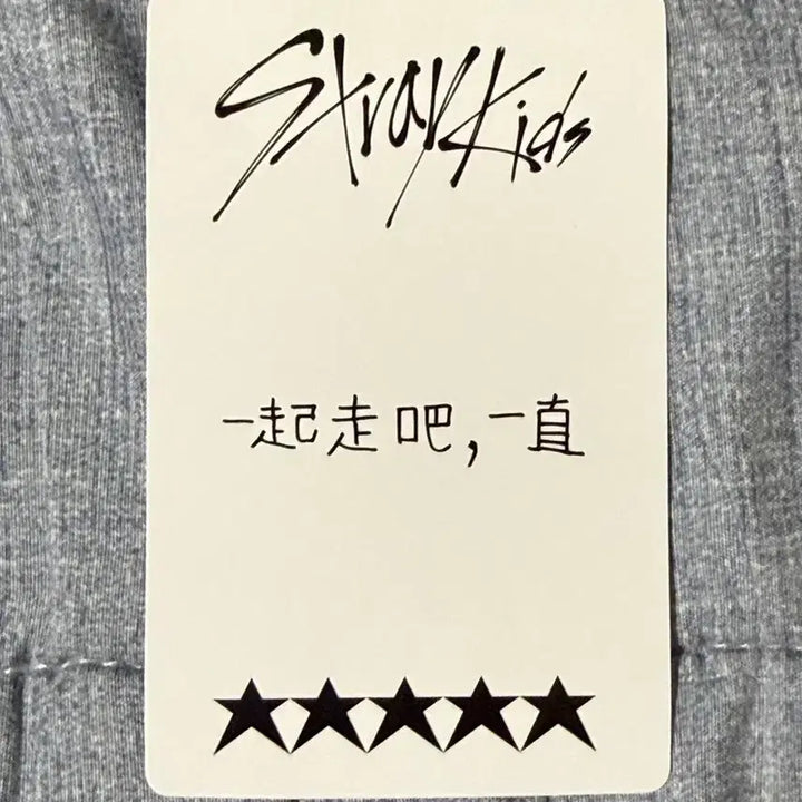 [BUNJANG] Stray Kids Leeknow 5-Star Eyesweep POB Photocard / 스트레이키즈 리노 특 5-star 이즈위 특전
