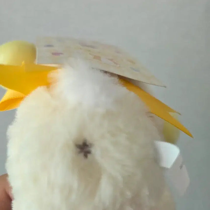 [BUNJANG] Sanrio Pompompurin Mascot Keyring / 산리오 폼폼푸린 마스코트 키링