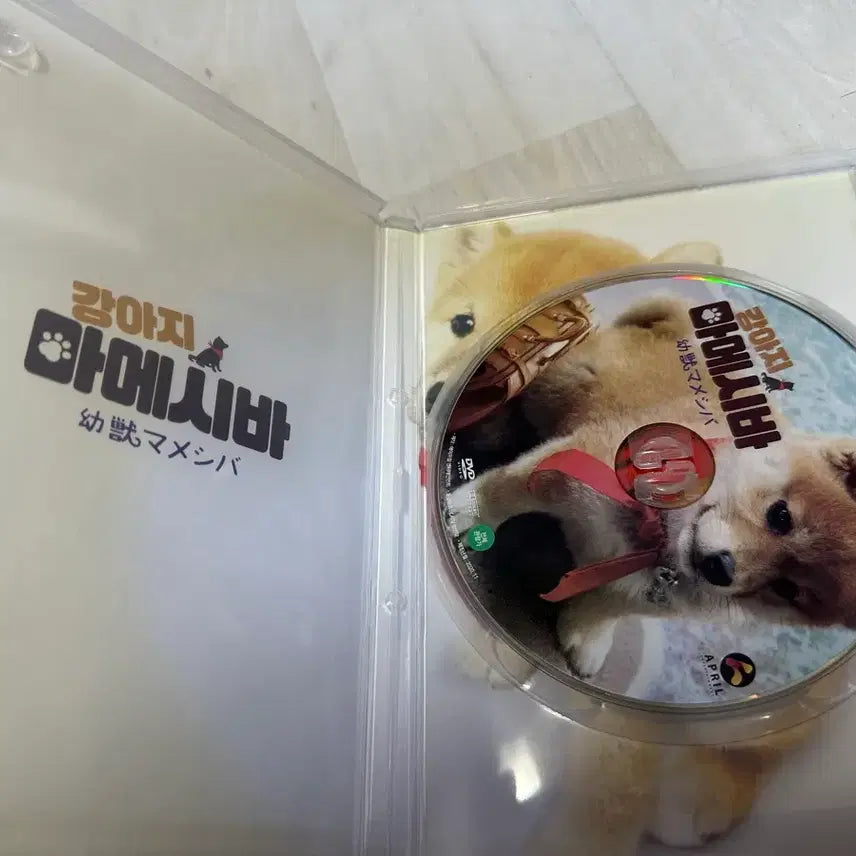 [BUNJANG] Our Puppy Mameshiba DVD / 우리집 강아지 마메시바 DVD
