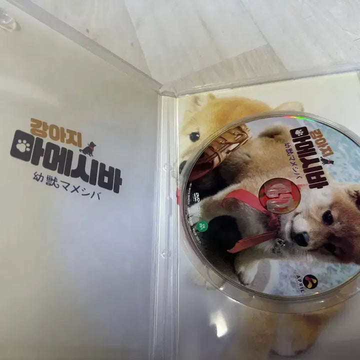 [BUNJANG] Our Puppy Mameshiba DVD / 우리집 강아지 마메시바 DVD
