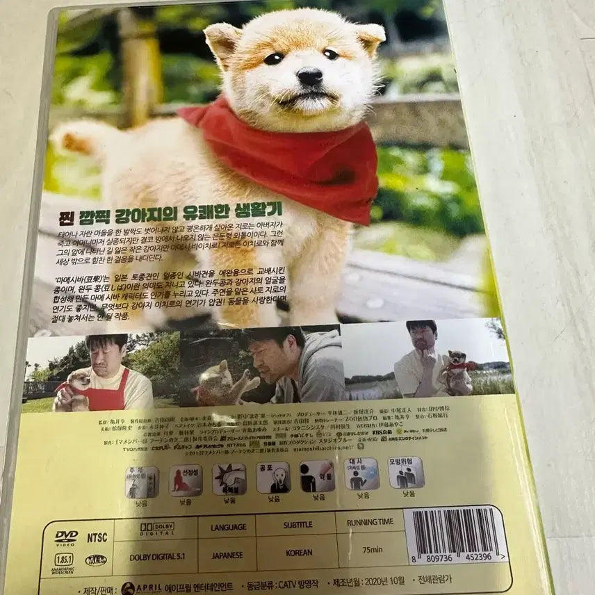 [BUNJANG] Our Puppy Mameshiba DVD / 우리집 강아지 마메시바 DVD