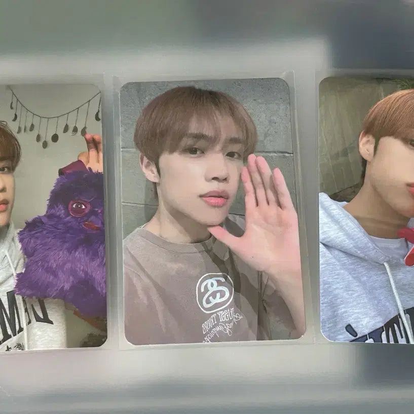 [BUNJANG] The Boyz Sunwoo Photocard / 더보이즈 선우 포카