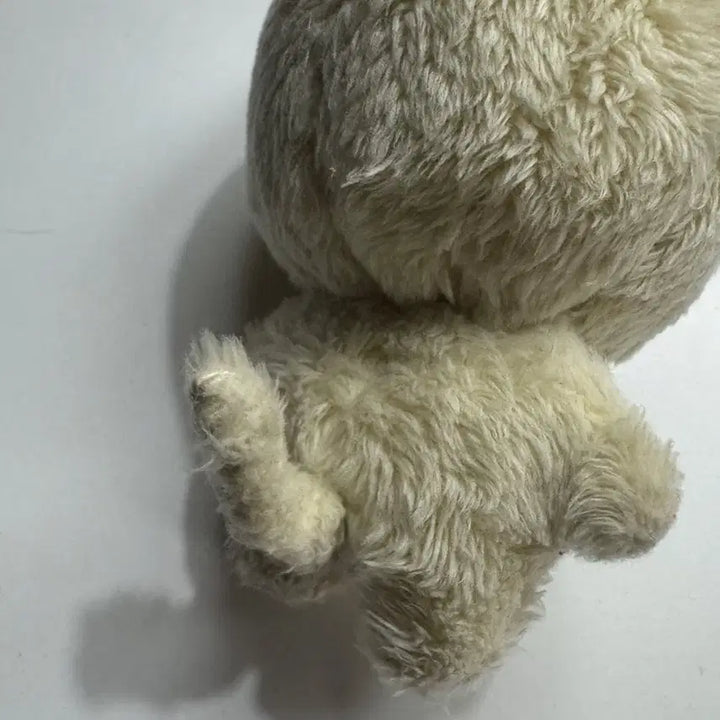 [BUNJANG] Chitary 40cm (1st Gen) &amp; 10cm (1st Gen) Plush Set / 치타리 40cm (1차) + 치타리 10cm (1차)
