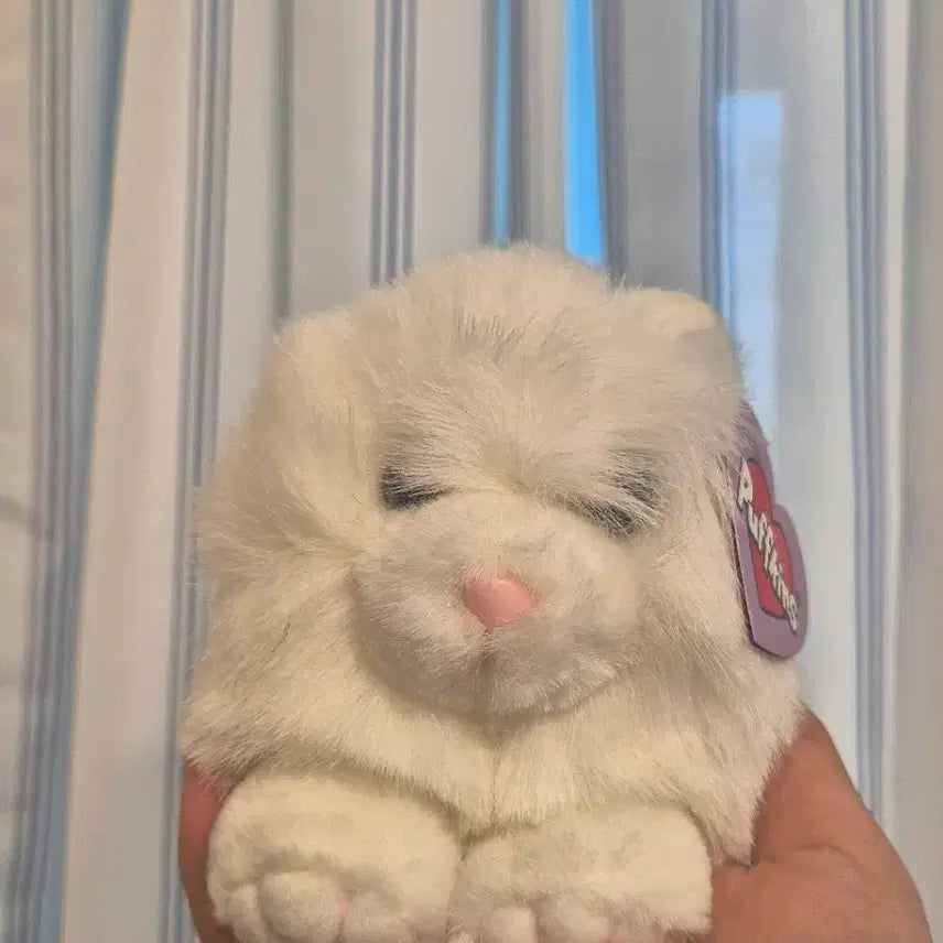 [BUNJANG] Puffkins Cat Plush Black/White Bundle Set / 퍼프킨스 고양이 인형 블랙/화이트