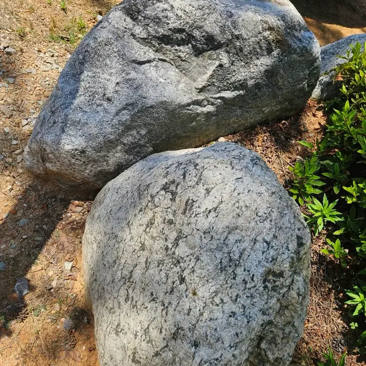 [BUNJANG] Natural Stone Landscaping Rocks (Gangwon-do Yangyang) / 자연석 팝니다