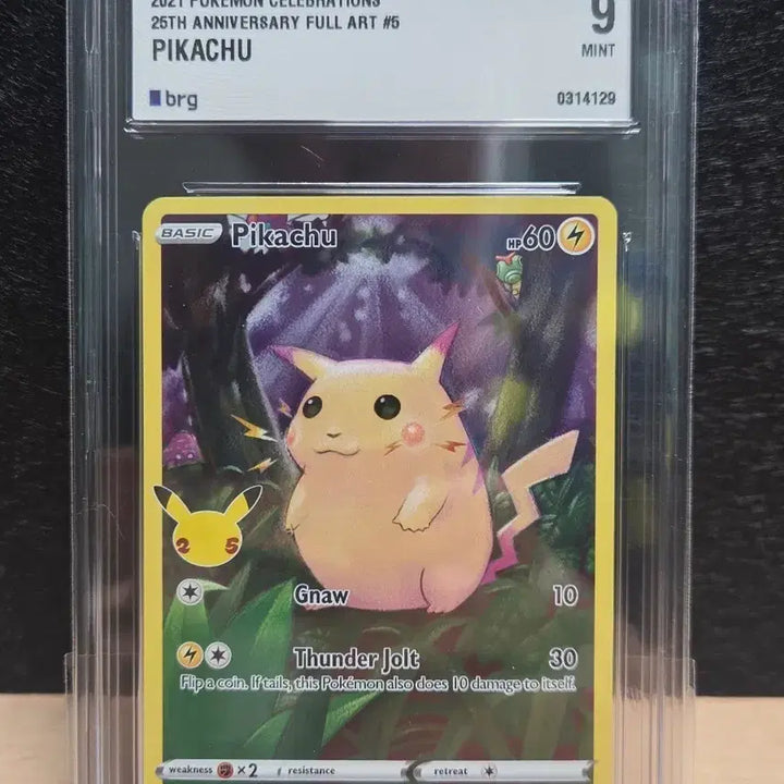 [BUNJANG] Pokemon 25th Anniversary Full Art Pikachu Trading Card (North American Edition, Graded Mint 9) / 25주년 북미 피카츄 포켓몬카드 판매 교신