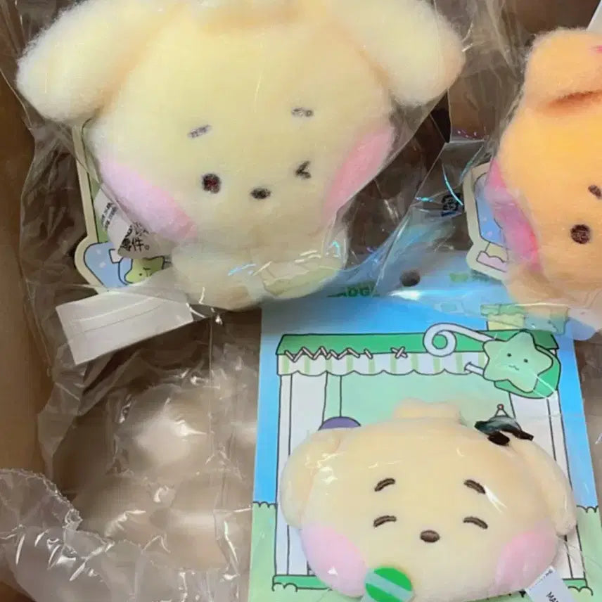 [BUNJANG] NCT WISH Dancemini Magnet &amp; Badge Bundle Set / nctwish 댕트리니 마그넷&amp;뱃지 일괄