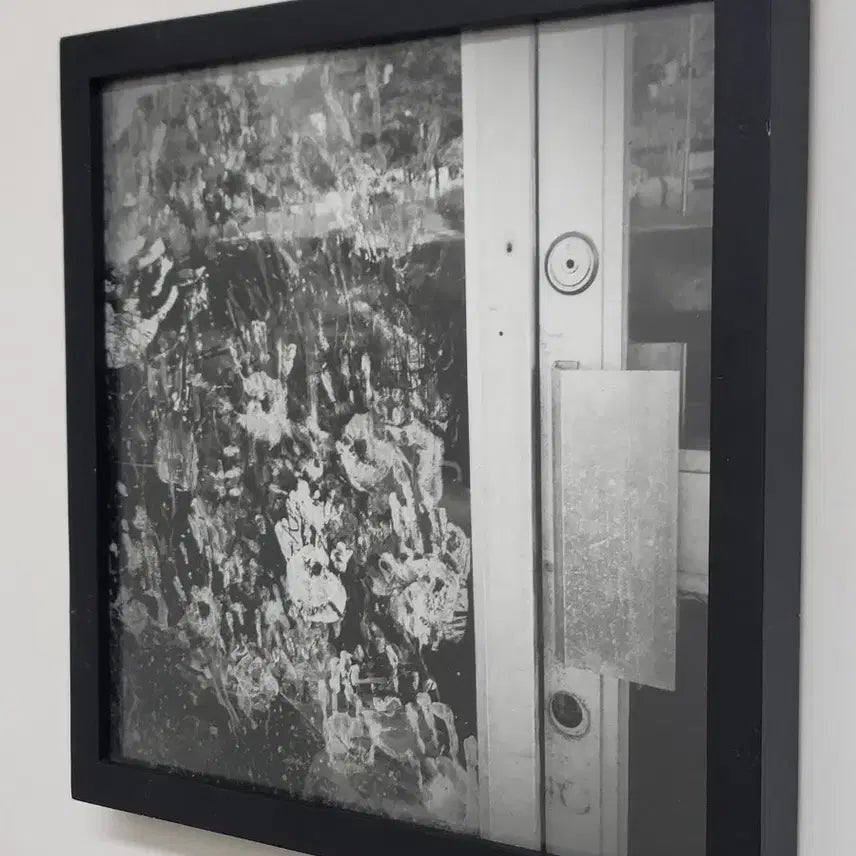 [BUNJANG] Kim Jung-man Black and White Original Photograph / 김중만선생 사진작품 14