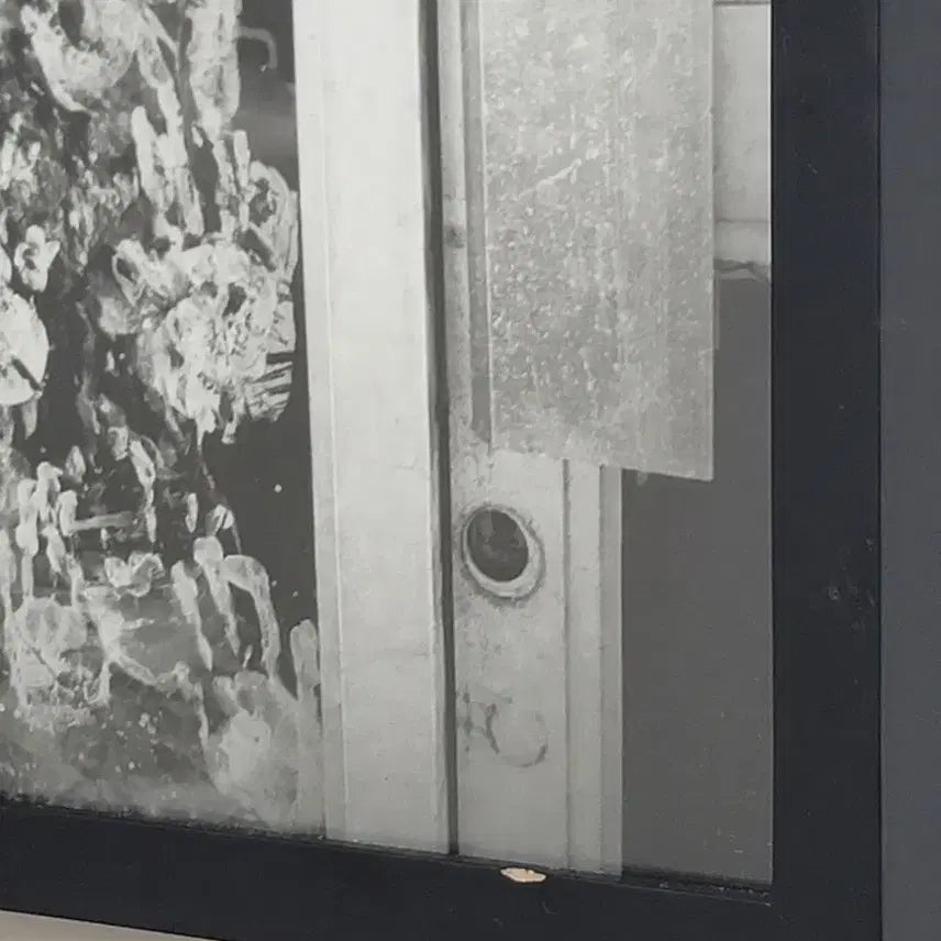 [BUNJANG] Kim Jung-man Black and White Original Photograph / 김중만선생 사진작품 14