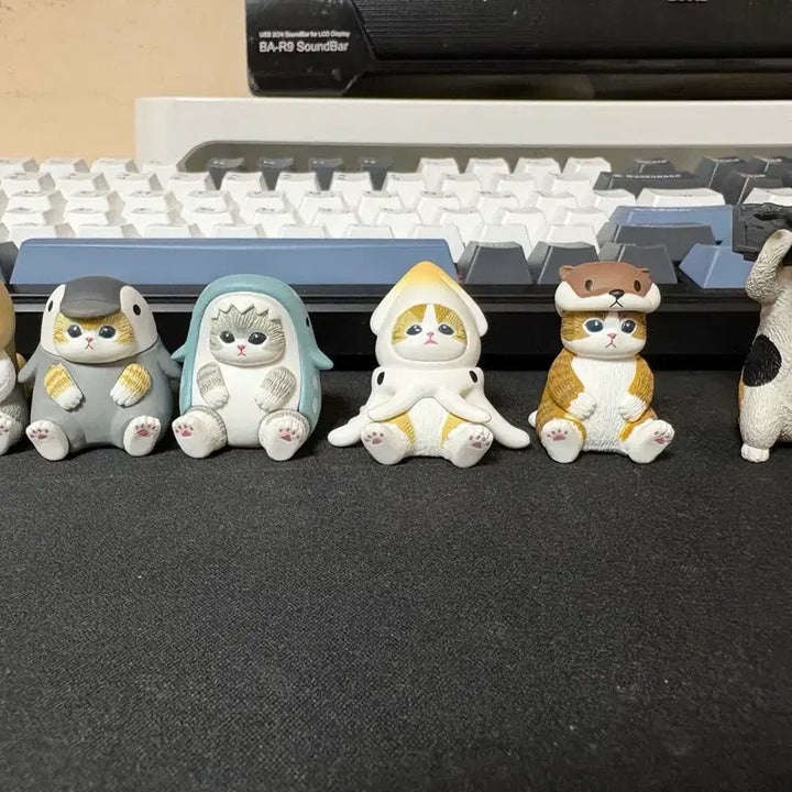 [BUNJANG] MofSand Cat Gacha Bundle Set / 모프샌드 고양이 가챠 일괄판매