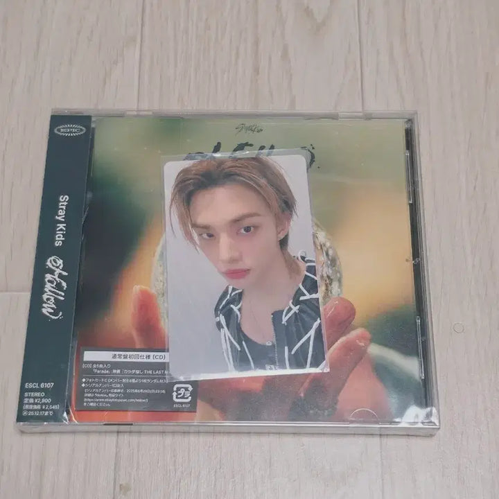 [BUNJANG] Stray Kids Hollow Hyunjin Photocard / 스트레이키즈 할로우 hollow 오프라인 회장 한정 현진 포카