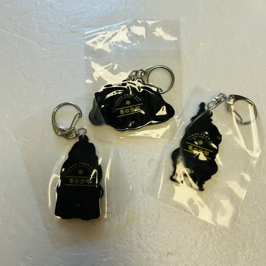 [BUNJANG] Lee Junho Winter Boy Keyring Bundle Set / 이준호 겨울소년 키링 일괄